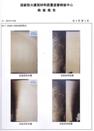 格林雅燃烧性能检验报告(中)